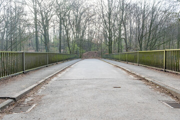 Empty bridge leading into the forest in early spring
