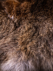 Red Brown Animal Wildlife fur hair textured Concept Background.