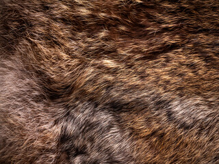 Red Brown Animal Wildlife fur hair textured Concept Background.