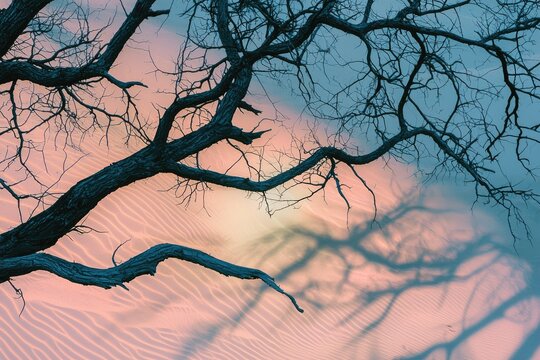 Striking contrast of a stark, bare tree against a rippled desert landscape with soft pastel colors.