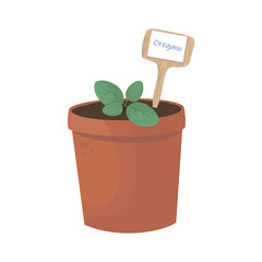 Oregano Seedling in Terracotta Pot with Garden Marker Vector Illustration