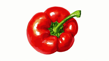 Bright red bell pepper isolated watercolor vector illustration svg	