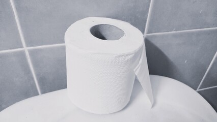 roll of toilet paper
