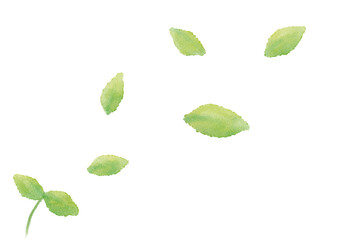 水彩で描いた若葉のイラスト