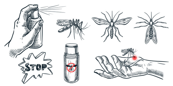 Mosquito protection design elements set. Vector sketch illustration. Using repellent for prevention of insect bites