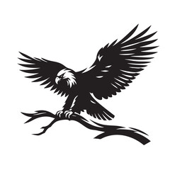 Obraz premium Majestic Eagle Soaring: A Black and White Vector Illustration of an Eagle in Flight