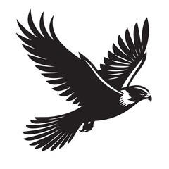 Fototapeta premium Majestic Falcon in Flight: A Black and White Vector Illustration of a Soaring Raptor