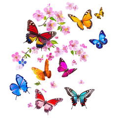 Collection of colorful butterflies hovering over spring blossoms, isolated on white background
