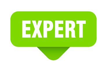 expert sticker. expert sign on transparent background
