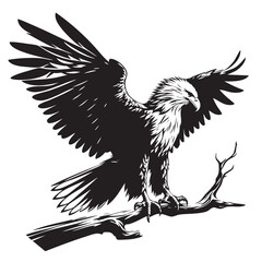 Obraz premium Majestic Eagle Soaring: A Black and White Wildlife Illustration