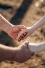 A man holds a woman's hands with wedding rings. Support for loved ones. Couple outdoor love