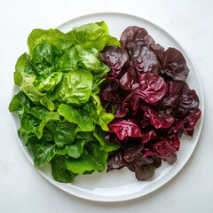 Green and red butter lettuce heads arranged on a white round plate top view