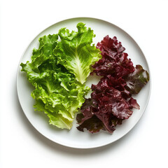 Two types of lettuce on a white plate with green and red lettuce leaves