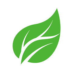 green leaf vector