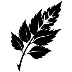 green leaf vector