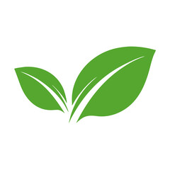 green leaf vector