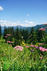 in Österreich am Gosausee