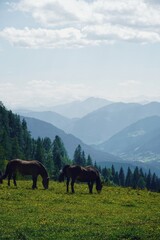 in Österreich am Gosausee
