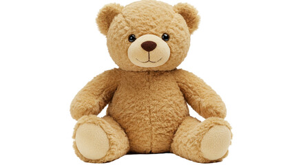 Isolated Teddy Bear