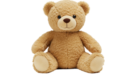 Isolated Teddy Bear