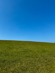 Green Grass on A Slope with Clear Blue Sky Overhead