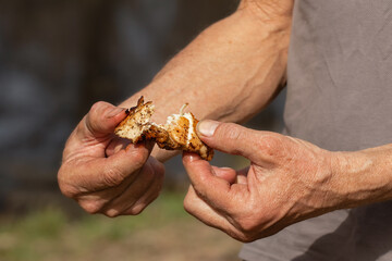 Juicy chicken fried over an open fire.Outdoor spring picnic.
