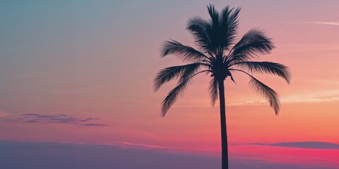 Fototapeta premium Solitary palm tree beneath a striking sunset sky.