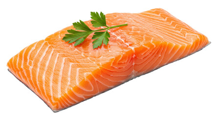 Isolated Salmon Fillet