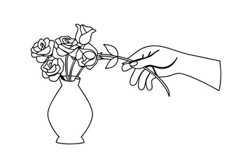 Elegant Line Art Hand Arranging Roses in Vase