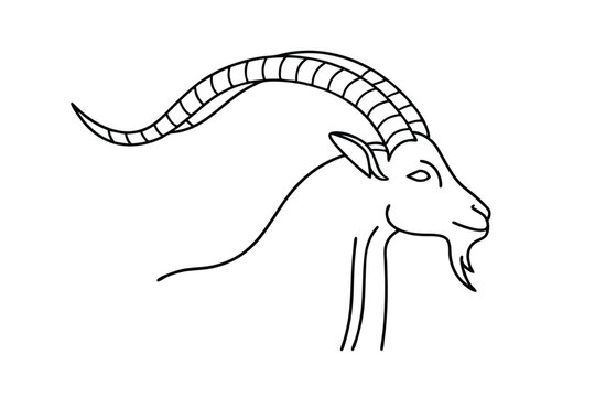 Majestic Capricorn Goat Line Art Zodiac Symbol, Mountain Goat