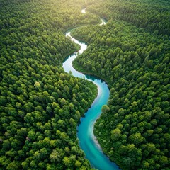 aerial view of the river