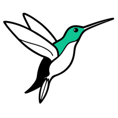 Obraz premium hummingbird in flight