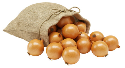Isolated Canvas Sack Filled With Onions