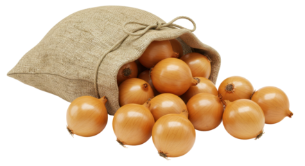 Isolated Canvas Sack Filled With Onions