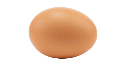 Isolated Brown Egg