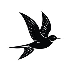 artic tern silhouette art