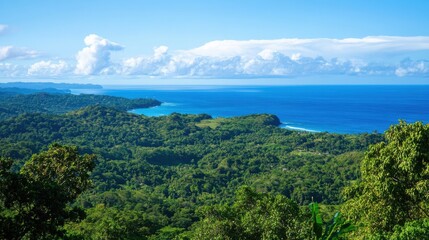 Fototapeta premium A panoramic view of a tropical island covered in lush vegetation, meeting the ocean horizon.