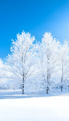 Frosty winter trees on a snowy landscape under a bright blue sky