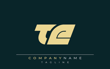 TE Sleek Geometric Logo Design. Neutral colors and minimalist style create a professional and contemporary impression, suitable for branding and corporate identity.