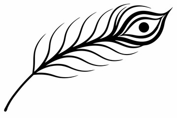a exotic peacock feather design line art vector illustration © mstsokera