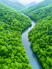 Aerial view of a winding river flowing through a lush green forest valley