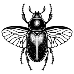 vector illustration of a bug