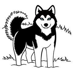 Husky with Blue Eyes Vector