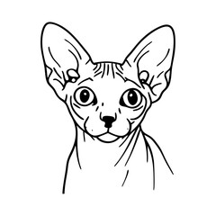 vector illustration of sphynx cat