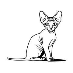 vector illustration of sphynx cat