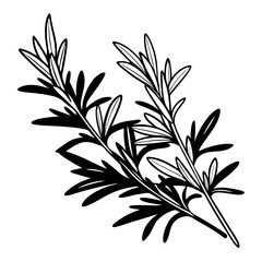 laurel wreath vector illustration
