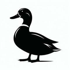 Obraz premium diferent vector birds silhoutee 