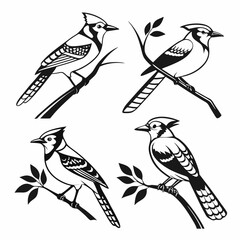 Blue Jay icon set black silhouette vector bundle