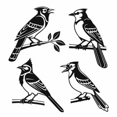 Blue Jay icon set black silhouette vector bundle