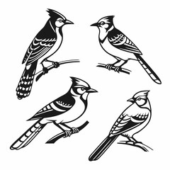 Blue Jay icon set black silhouette vector bundle